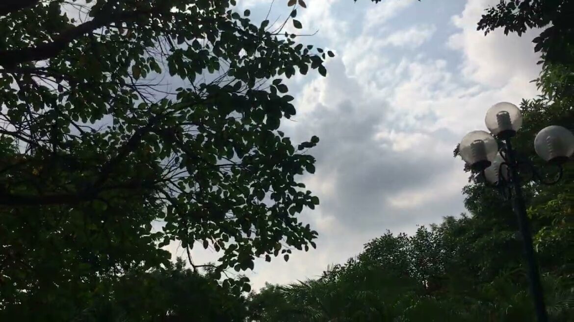 Gardening Glory: Cultivating Natural Beauty