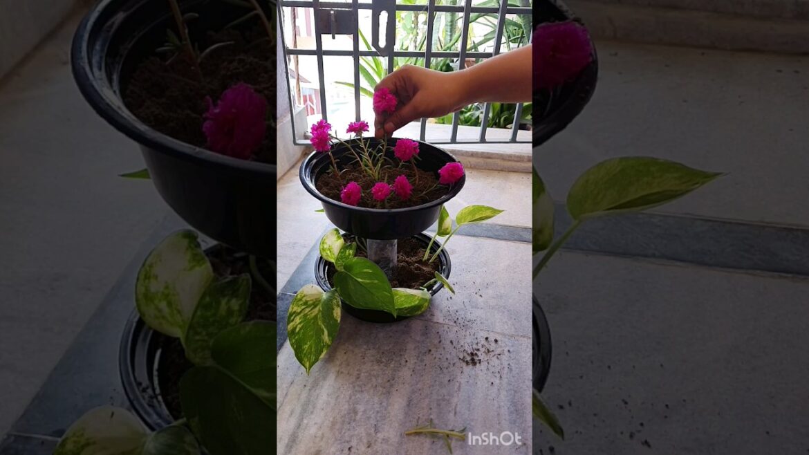 Waste container uses for plants #diy #homedecor #creative