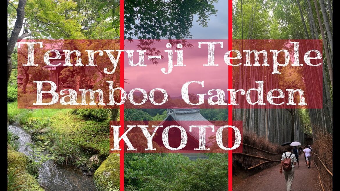 Tenryu-ji Temple & Scenic Japanese Garden and Bamboo Garden in Kyoto Japan