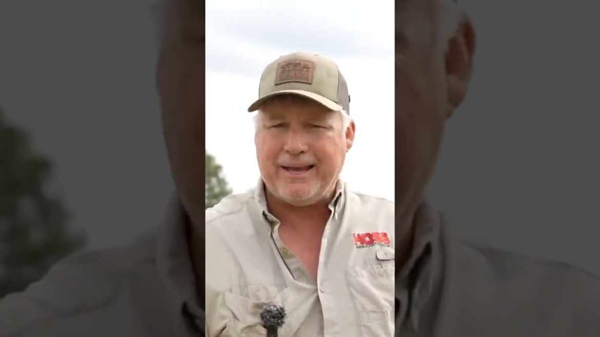 Want A Successful Vegetable Garden?! Here’s How! Want A Successful Vegetable Garden?! Here's How!