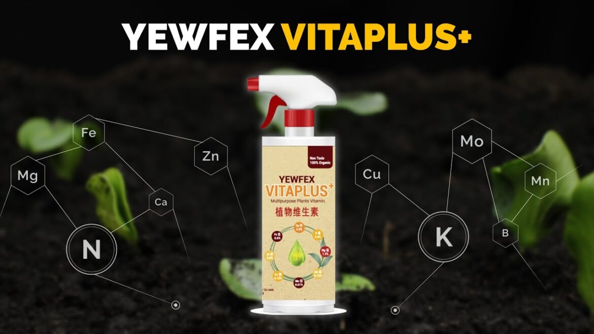 Solution for Your Plant Deficiency! | YEWFEX Vitaplus+ Solution for Your Plant Deficiency! | YEWFEX Vitaplus+