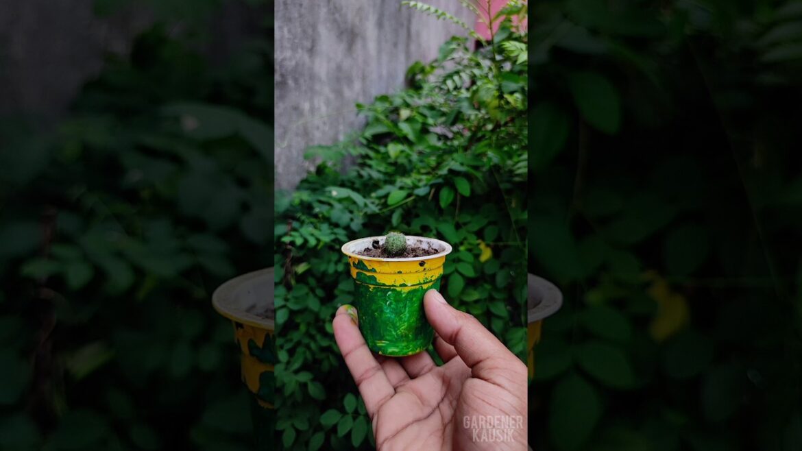 Even leaf can be used to do color ft. reusing plastic container #shorts #reuse #diy Even leaf can be used to do color ft. reusing plastic container #shorts #reuse #diy