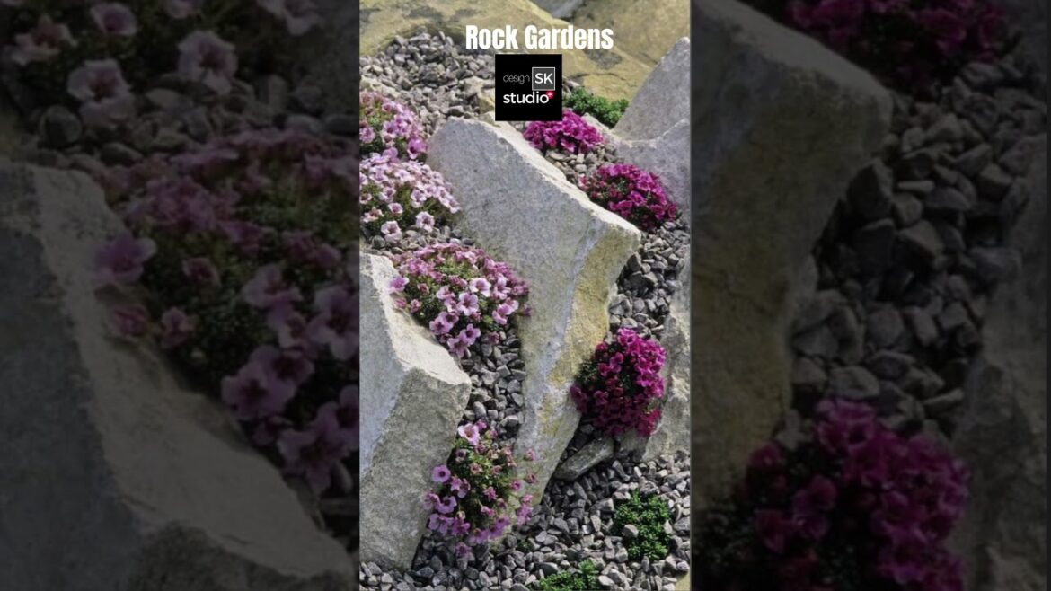 Small Rock Gardens on a Budget 06 #rockgarden #rockgardens #shortsvideo shorts