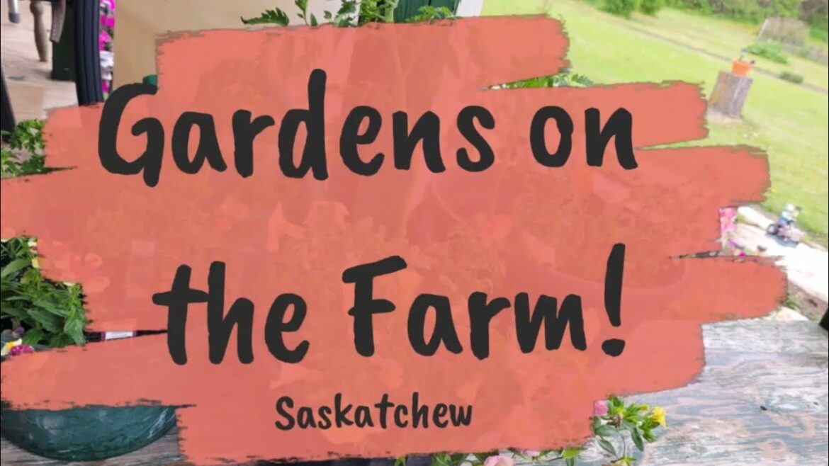 Gardening on the Farm, potting tips, planting edible pots