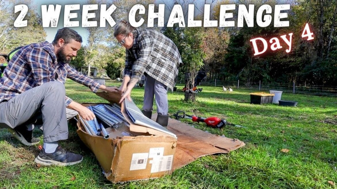 Things start to shift on Day 4 of our 2 Week Challenge