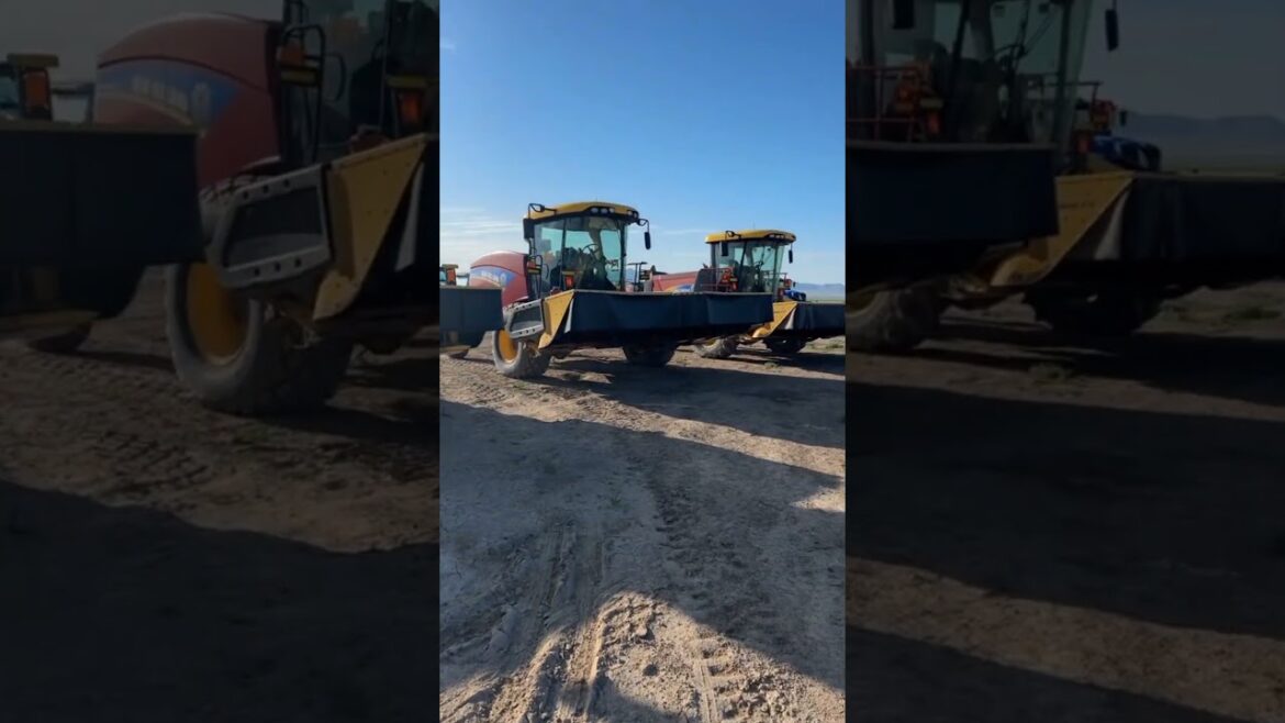 #agriculture #youtubeshorts #farming #noamancreation #farmforsale