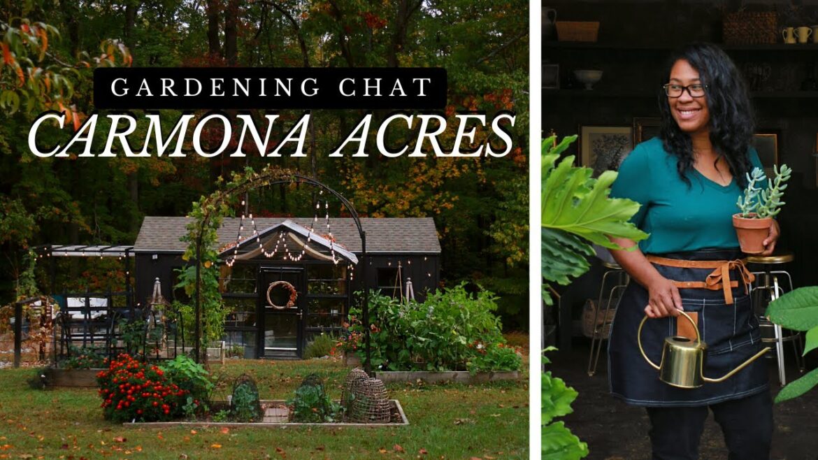 When Creativity meets Gardening 🌿North Carolina DIY Gardener When Creativity meets Gardening 🌿North Carolina DIY Gardener