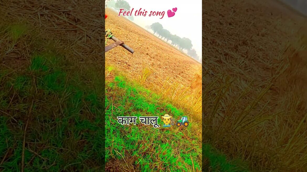 #trending #nature #viral #farming #natureplants #gardendesign #shortvideo #jaishreeram #trending #nature #viral #farming #natureplants #gardendesign #shortvideo #jaishreeram