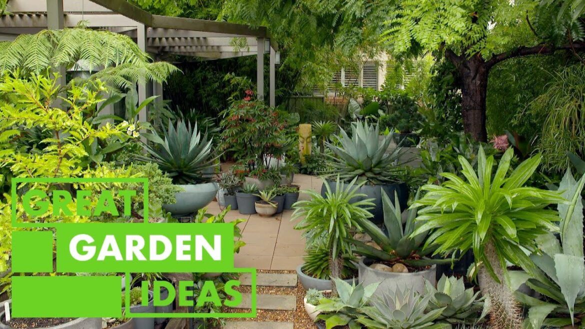 Container gardening 101 | GARDEN | Great Home Ideas Container gardening 101 | GARDEN | Great Home Ideas