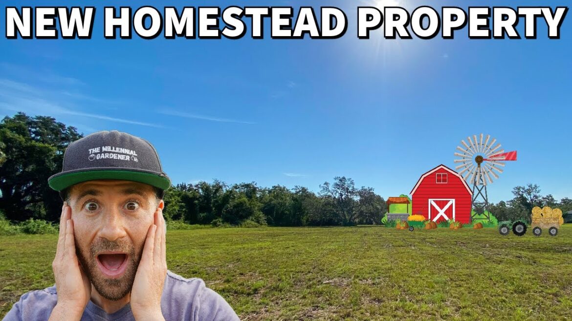 I Bought A New Homestead Property! I Bought A New Homestead Property!