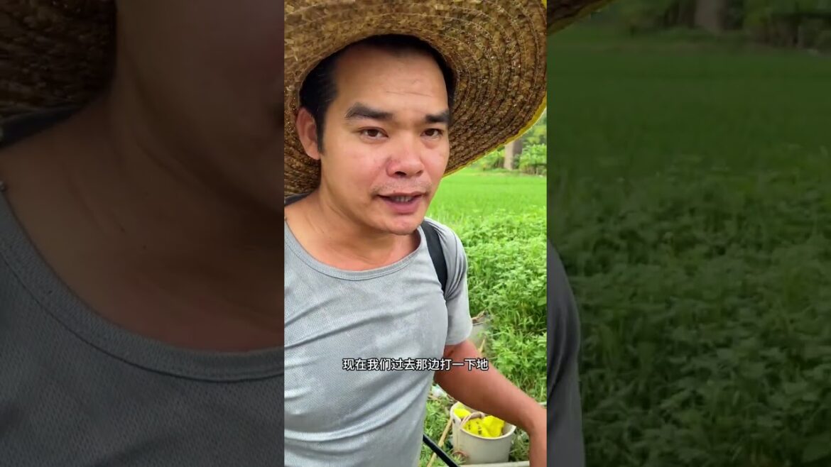 how to  gardening tips vlog at home/ happiness life #gardentips #short