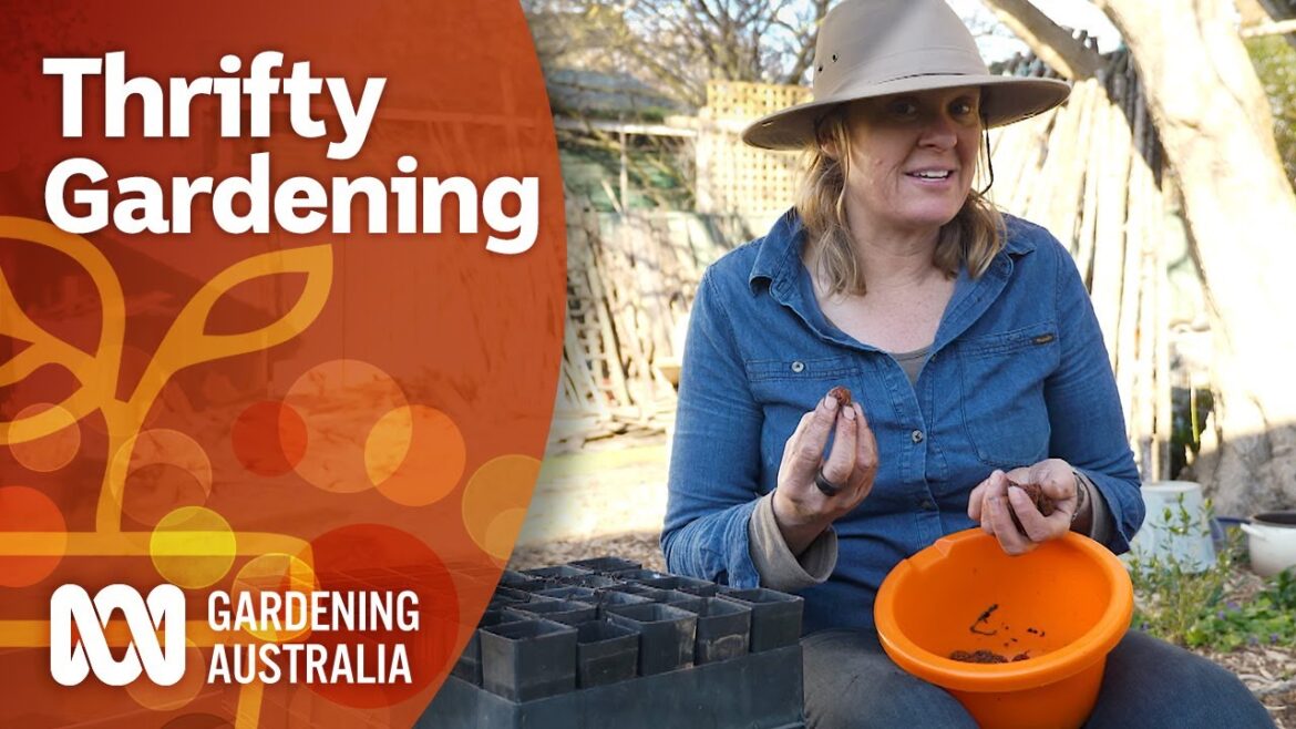 Thrifty Gardening | Gardening 101 | Gardening Australia Thrifty Gardening | Gardening 101 | Gardening Australia