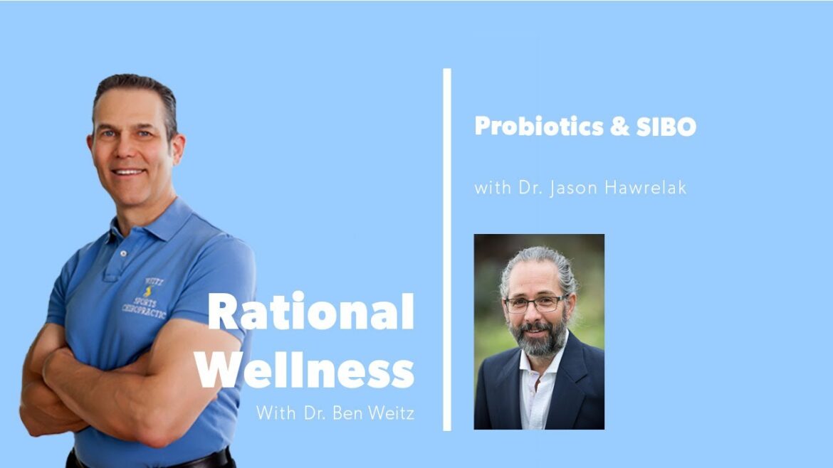 Probiotics & SIBO with Dr. Jason Hawrelak: Rational Wellness Podcast 329