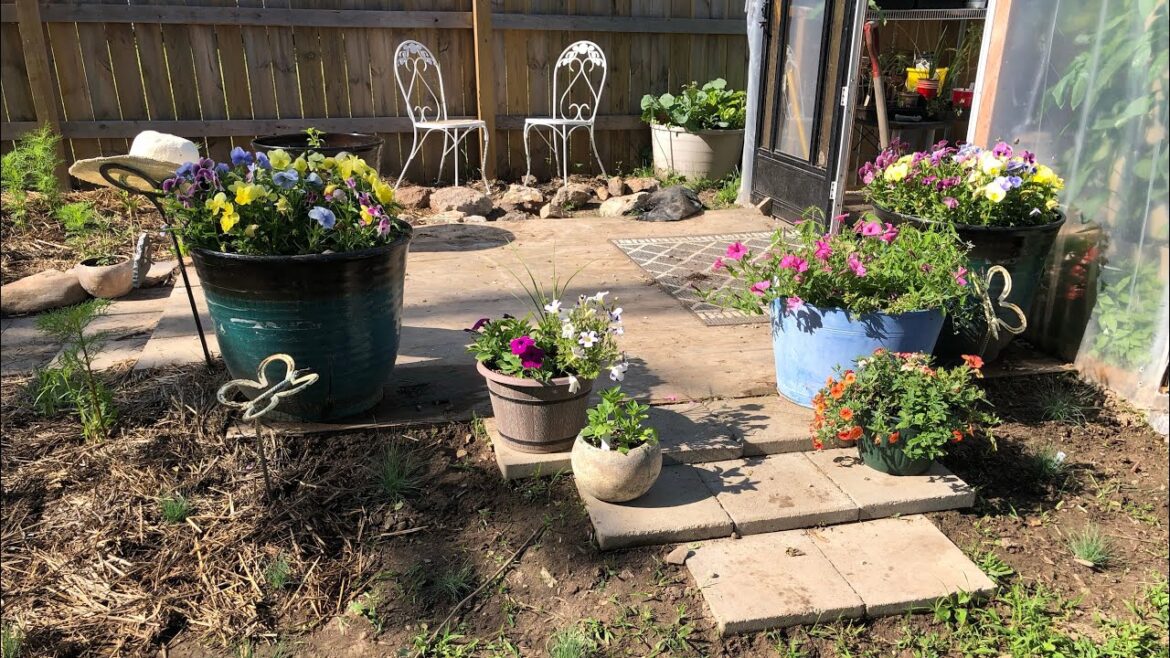 My future Garden Plans | HELP!