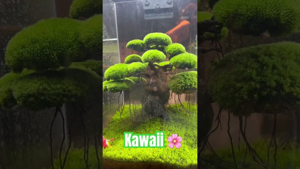Miniature Moss Japanese Garden #japan #moss #garden
