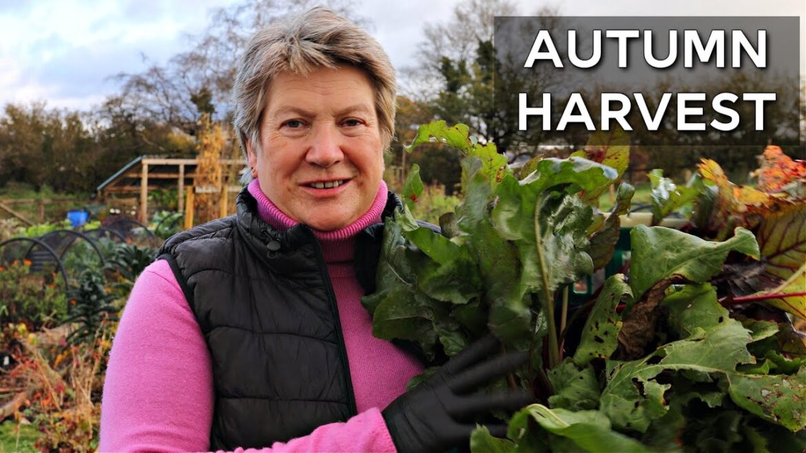 Gardening All Year Round | Homestead Tour of Cold Weather Harvests Gardening All Year Round | Homestead Tour of Cold Weather Harvests