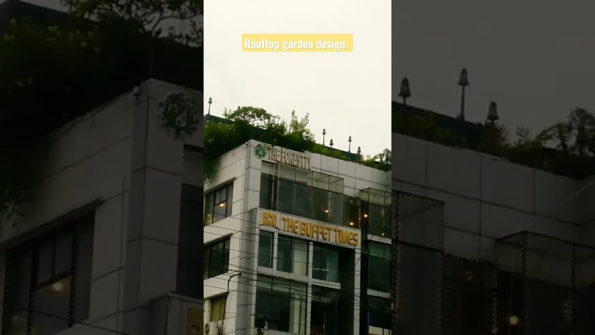 Rooftop garden design. Designers idea. Garden planning. #viral #shorts #short #video #subscribe Rooftop garden design. Designers idea. Garden planning. #viral #shorts #short #video #subscribe