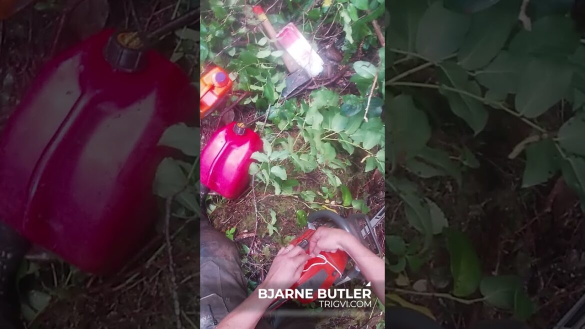 New PowerWedge at https://www.woodboss.ca | #forest #chainsaw #logger #howto #tree #stihl #husqvarna New PowerWedge at https://www.woodboss.ca | #forest #chainsaw #logger #howto #tree #stihl #husqvarna