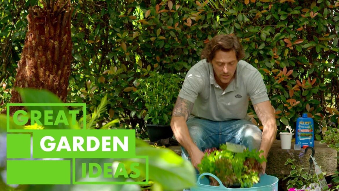 How to soak plants | GARDEN | Great Home Ideas How to soak plants | GARDEN | Great Home Ideas