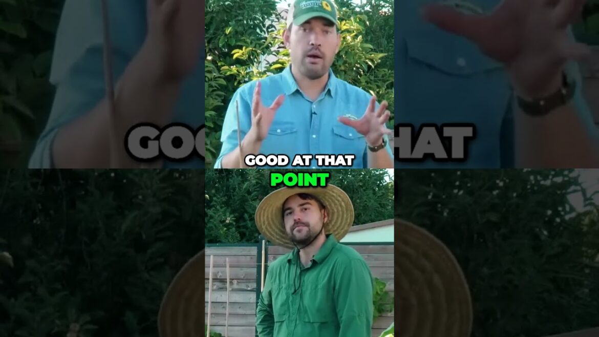 The Juicy Secret to Perfectly Ripe Fruit Revealed #garden