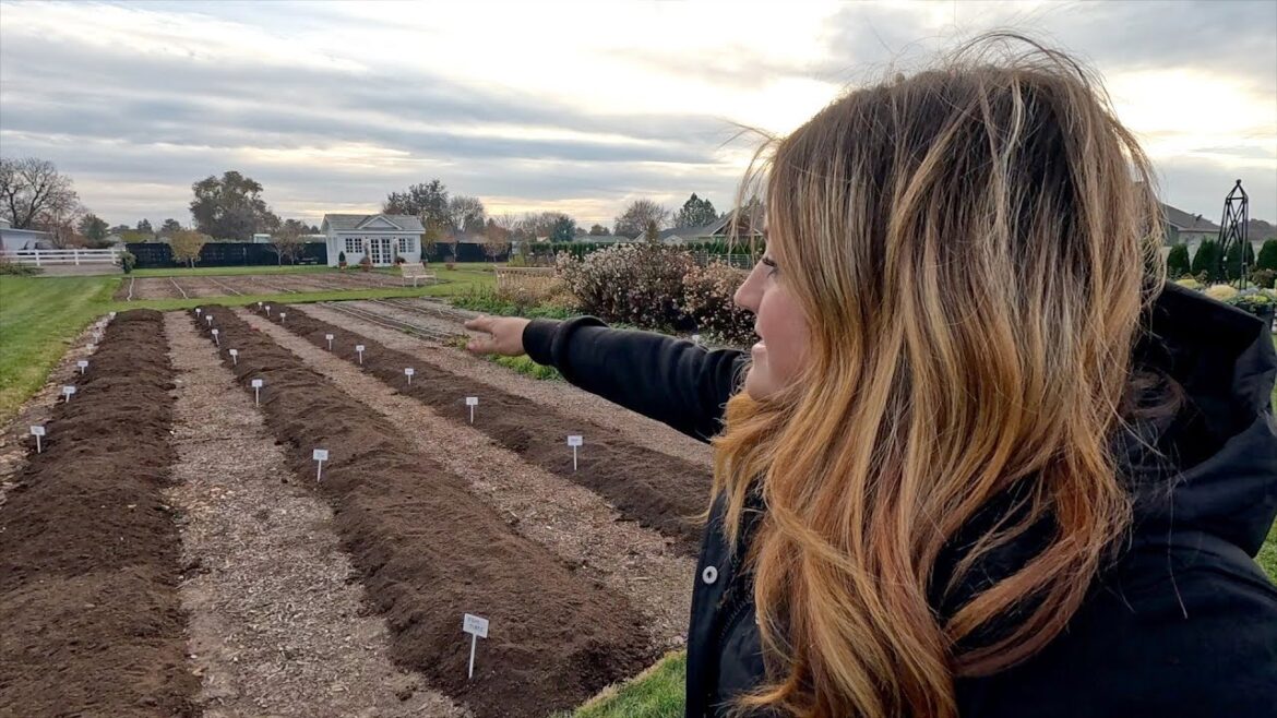 Garden Answer: Planting Lots of Daffodils & Tulips in the Cut Flower Garden! 🌷🙌✂️ // Garden Answer Planting Lots of Daffodils & Tulips in the Cut Flower Garden! 🌷🙌✂️ // Garden Answer