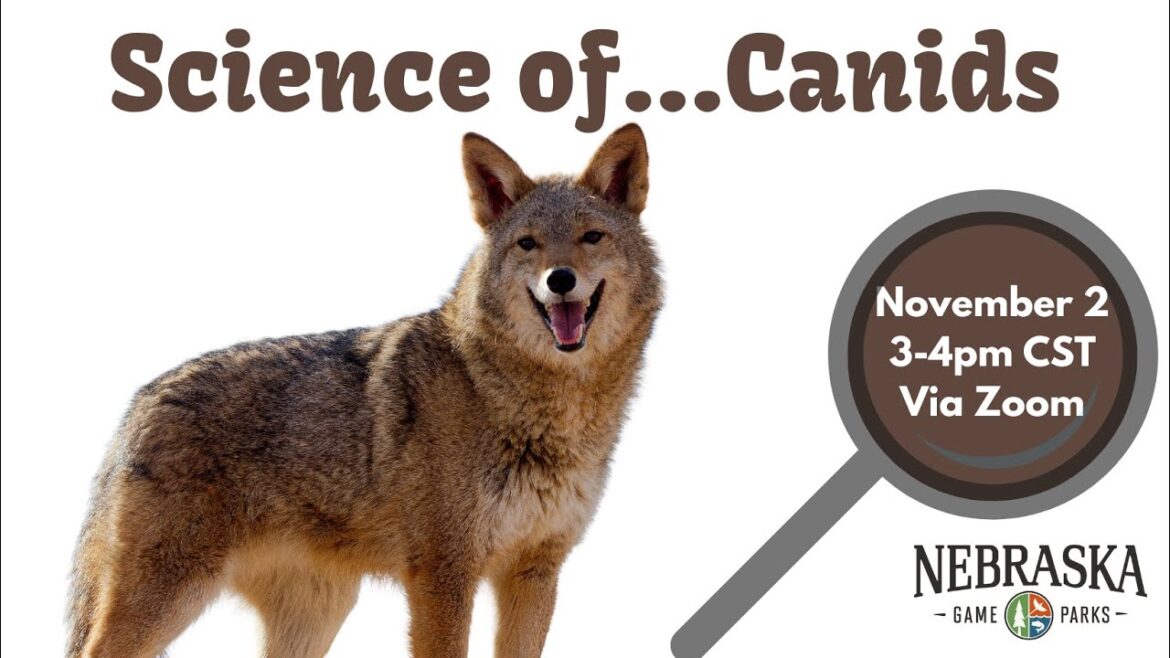 Science of...Canids