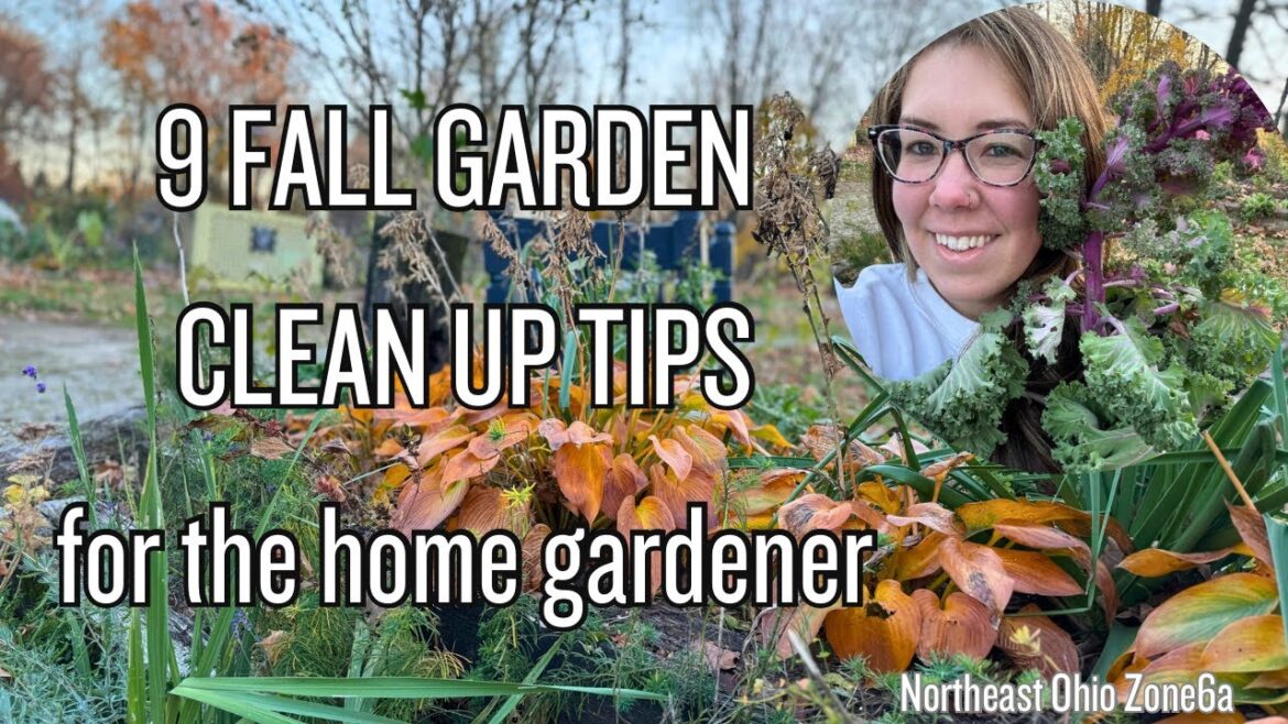 9 Fall Garden Clean Up Tips for the Home Gardener 2023