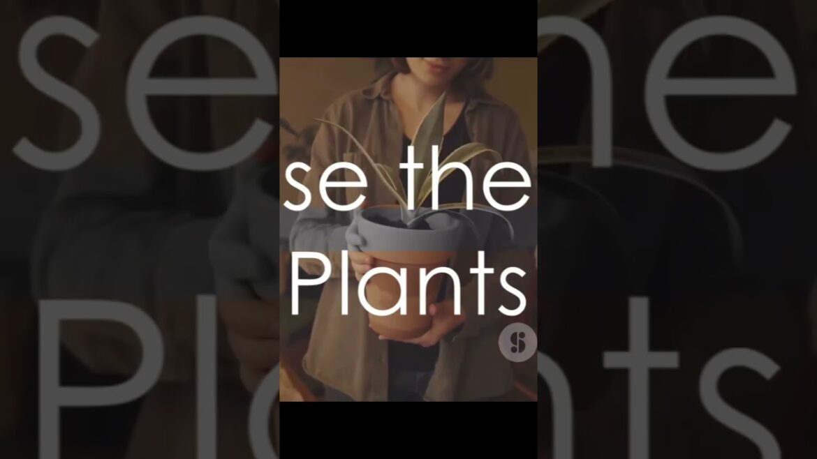 10 Gardening tips you have to know #youtubeshorts #shorts #gardening