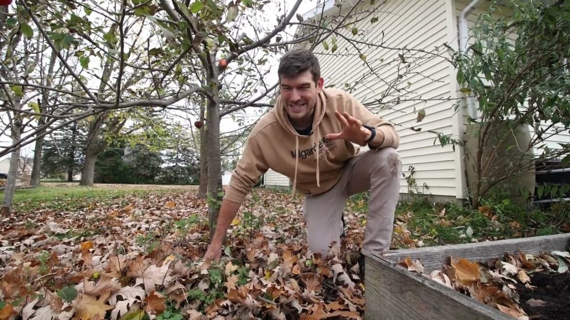 MIgardener: STOP! Don’t Do These 3 Things To Your Fall Garden STOP! Don't Do These 3 Things To Your Fall Garden