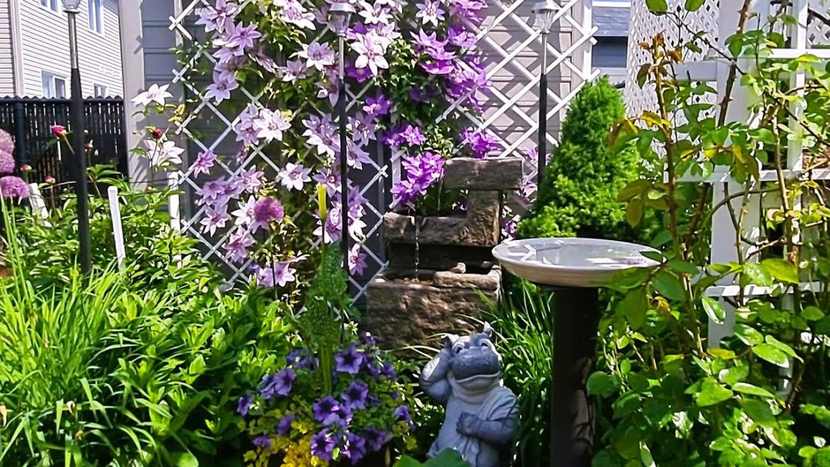 Peaceful and Quiet morning In The Garden | Backyard Garden Tour | Zone 5A Canada #gardentour #garden