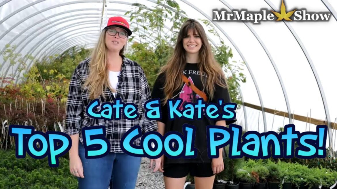 Cate & Kate's Top 5 Cool Plants!