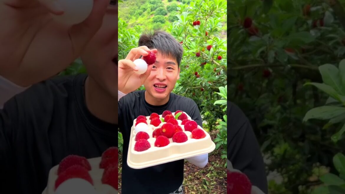 Taste red Bayberries fruit in nature #amazingchina #havesting #satisfying #fruit #gardening Taste red Bayberries fruit in nature #amazingchina #havesting #satisfying #fruit #gardening