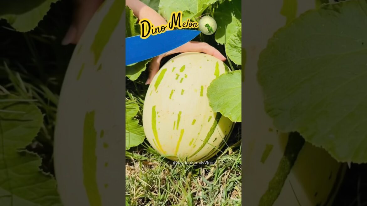 Fruit Cutting DiNO Melon 🍈🦖😱 #shortsvideo #satisfying #fruitcutting #fruit #fyp #shorts #melon