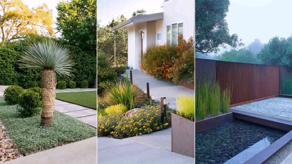 Front Yard Ideas For Landscaping