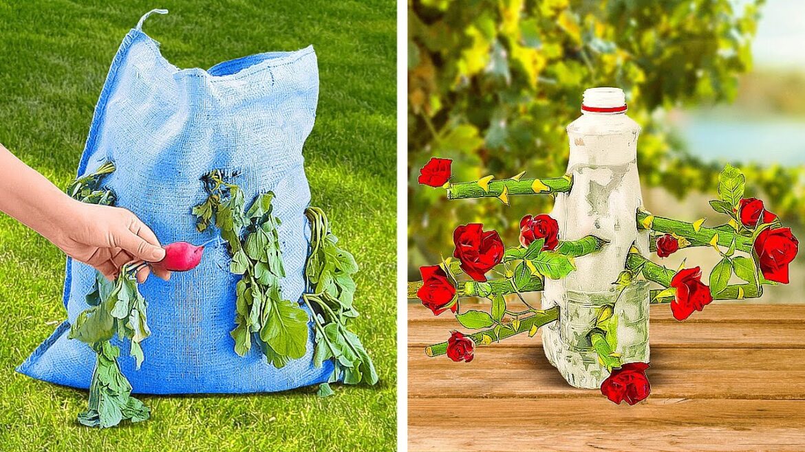 35 Gardening Hacks to Have a Lush Harvest 35 Gardening Hacks to Have a Lush Harvest