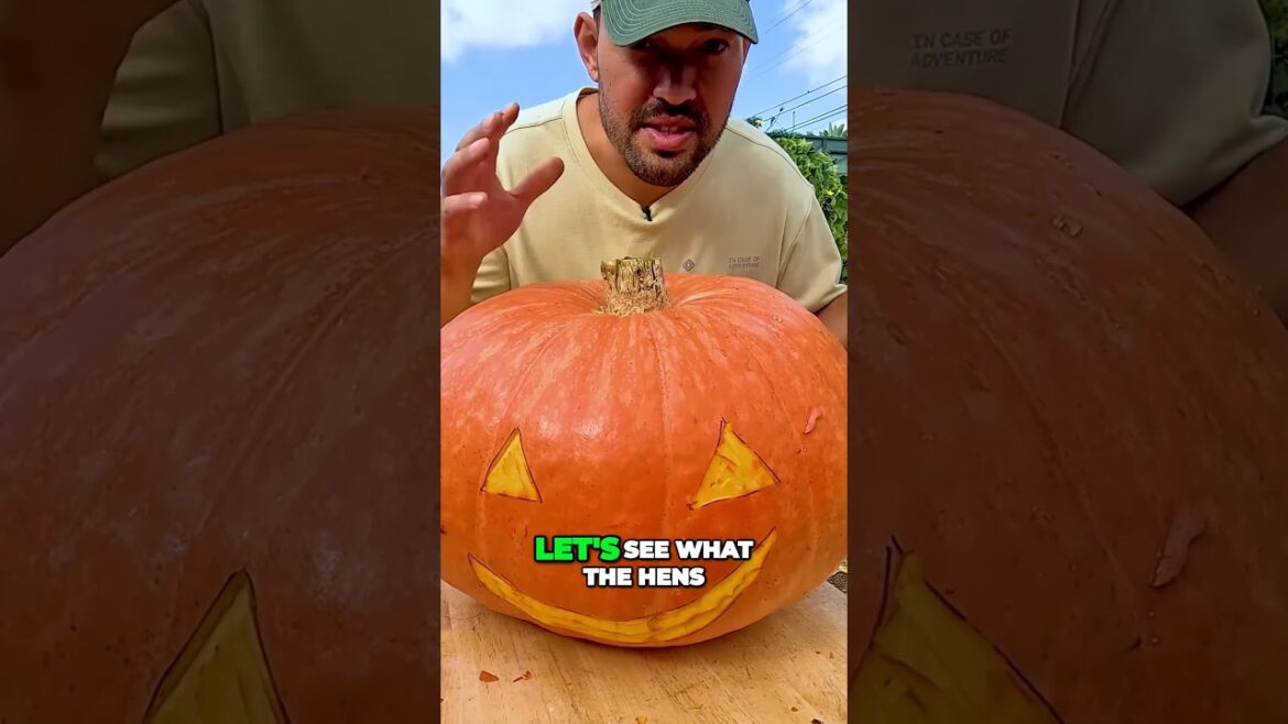 Genius Hack Chicken Carves Pumpkin with a Little Help #garden