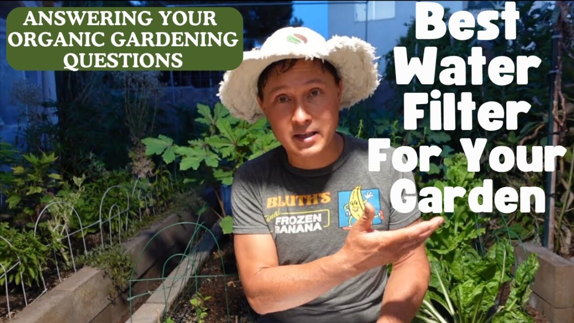 Best Water Filter for Organic Garden +Gardening Questions Answered Best Water Filter for Organic Garden +Gardening Questions Answered