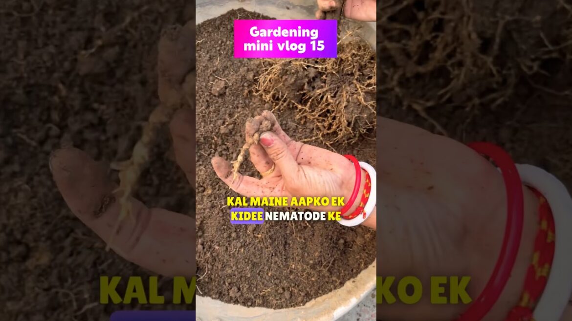 Worm Troubles roots: Tips for Rescuing Your Garden #shorts