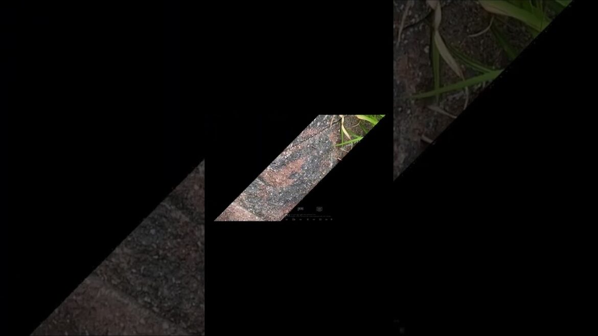 LANDSCAPE DESIGN IDEAS LANDSCAPE DESIGN IDEAS