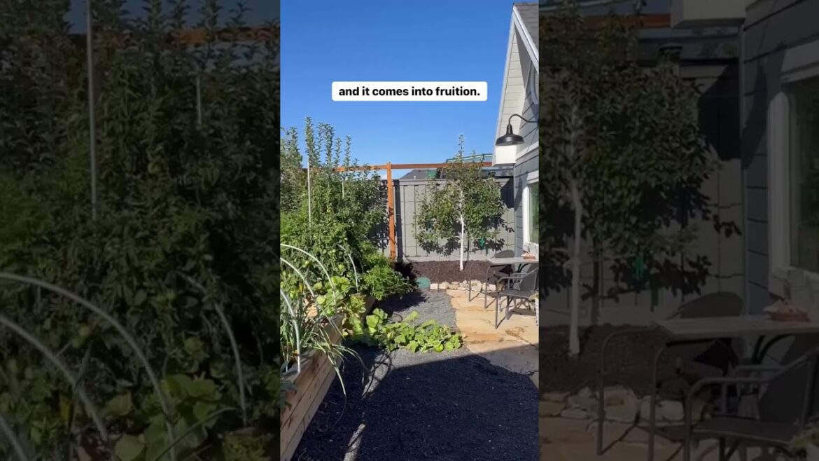 Before And After Utah Garden Transformation - Big Rock Landscaping | #UtahLandscaping #Gardens