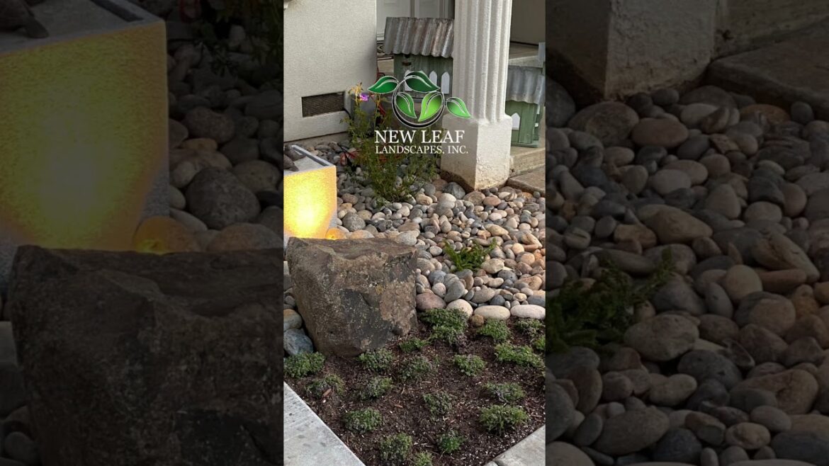 NEW LEAF LANDSCAPES INC  LANDSCAPE IDEAS #shorts