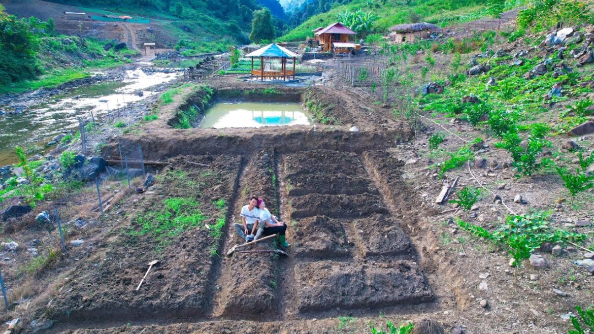 Sang Vy Garden Gardening to grow spices and fertilize clean vegetables - Sang Vy Farm