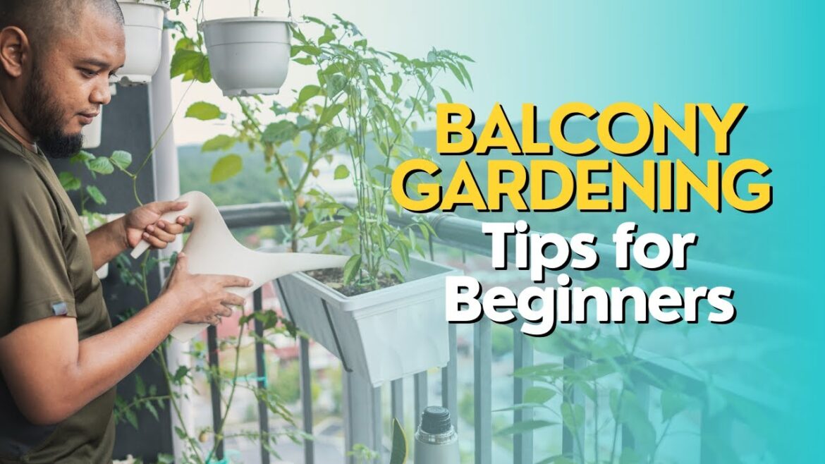 Balcony Gardening Tips for Beginners