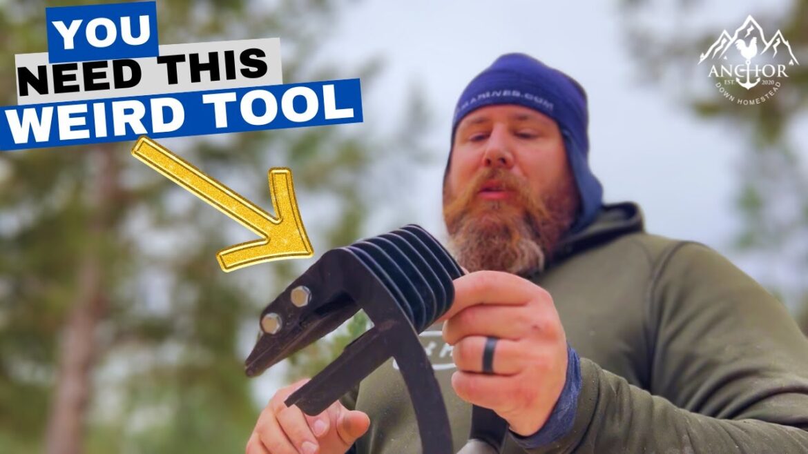 Cool Tools, Welding, Terrible Twos, and Sheathing!!! One Stop Shop for Entertainment!!! Cool Tools, Welding, Terrible Twos, and Sheathing!!! One Stop Shop for Entertainment!!!