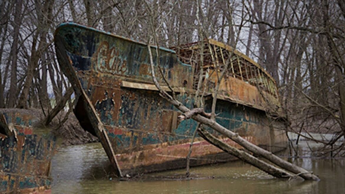 Man Finds Ship in Jungle, But When He Looks Inside