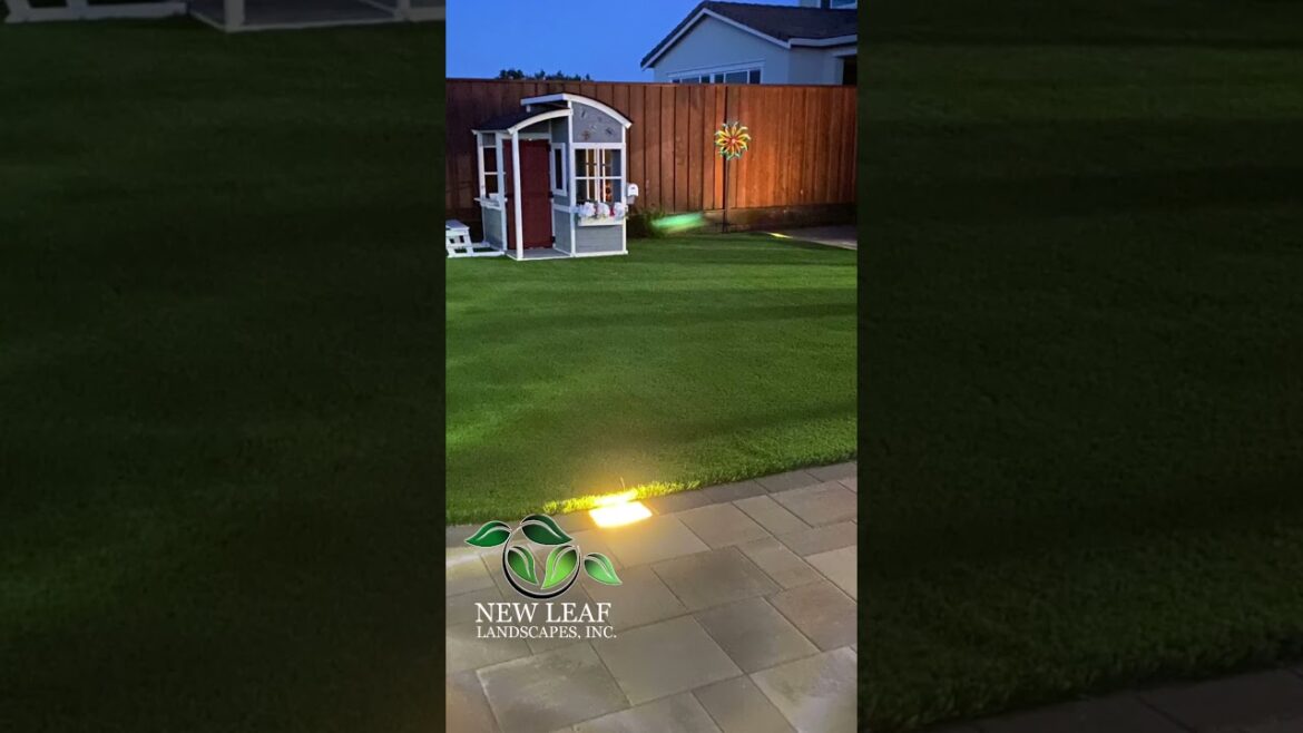 NEW LEAF LANDSCAPES INC  LANDSCAPE IDEAS #shorts