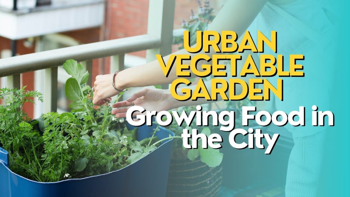 Urban Vegetable Gardening: Growing Food in the City