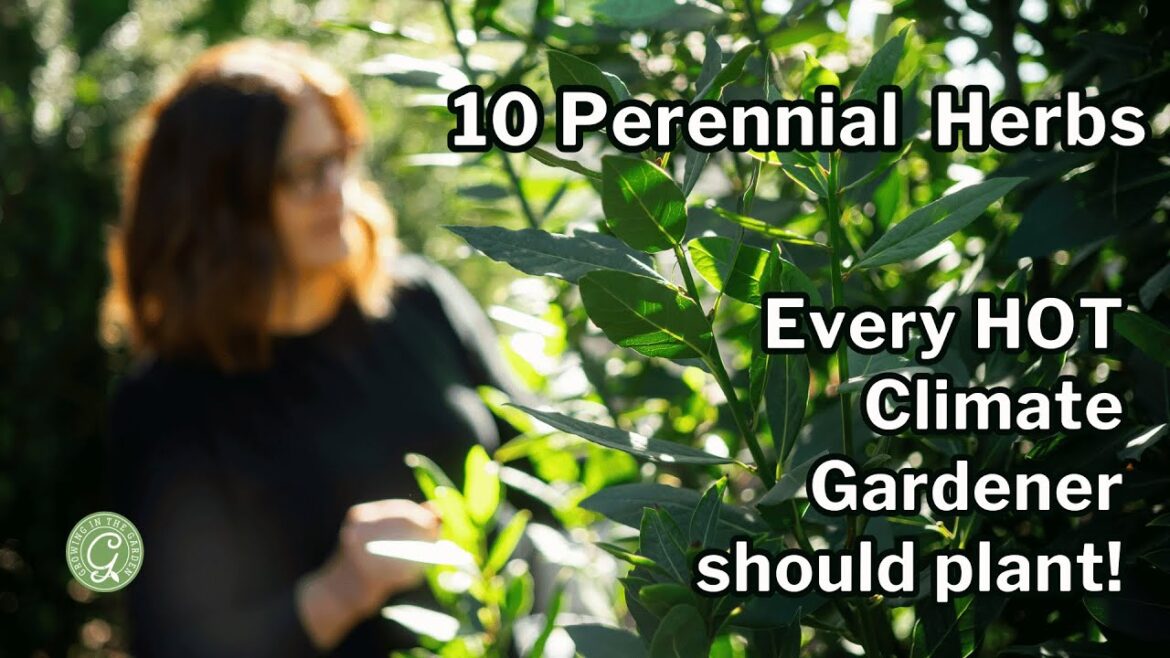 10 HERBS Every Gardener in a Hot Climate Should Grow: Plus Tips to Help Them Thrive 10 HERBS Every Gardener in a Hot Climate Should Grow: Plus Tips to Help Them Thrive