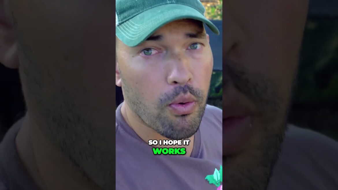 Protecting Plant Growth Finding the Perfect Balance with Sunlight #garden