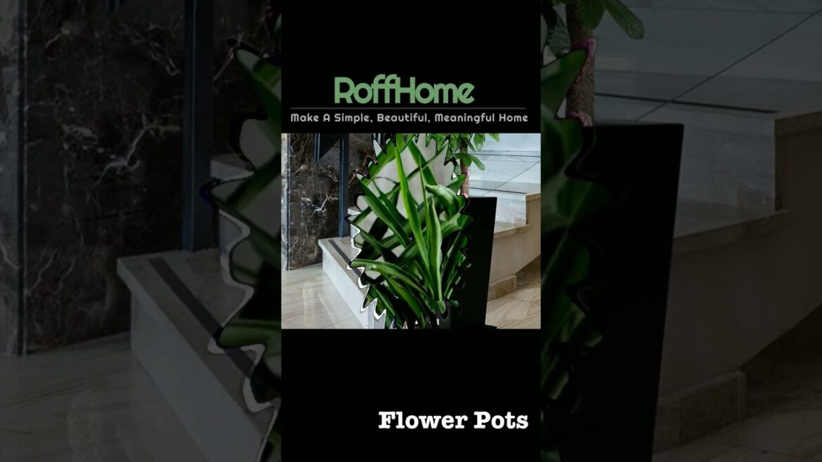 Elevate Your Garden With Stylish pots, Planters, and Accessories #garden #gardening Elevate Your Garden With Stylish pots, Planters, and Accessories #garden #gardening